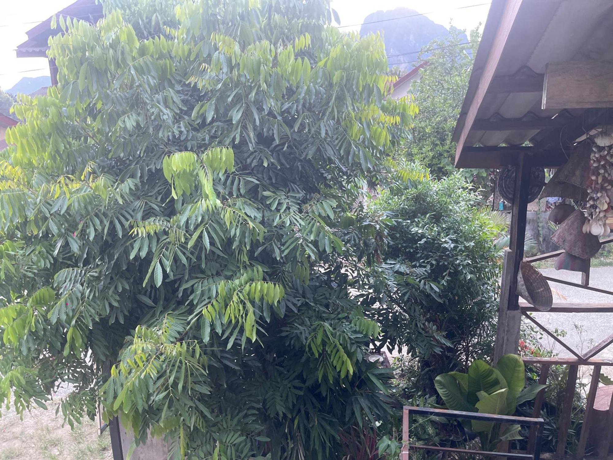 Outland Hostel Vang Vieng Exterior photo